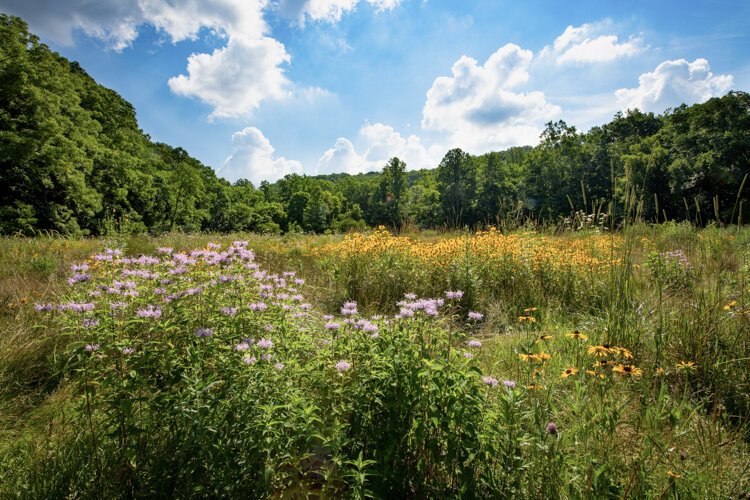 Cleveland Metroparks Hemlock Creek